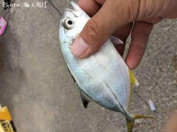 アジ？ＧＴ？