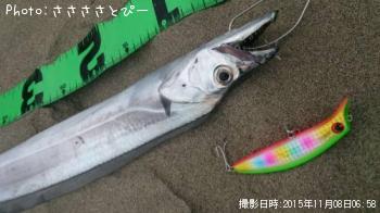 サーフ太刀魚＆グーフー