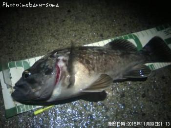 クロソイ