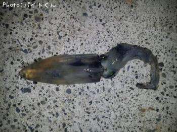 ヒイカ