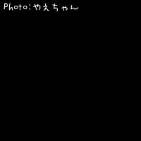 アイナメ