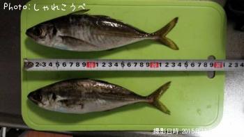 アジ