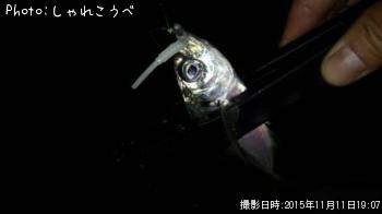 アジ