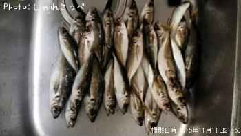 アジ