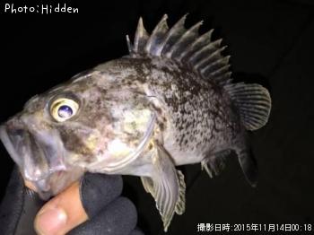 クロソイ