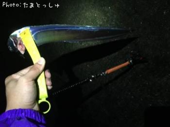太刀魚
