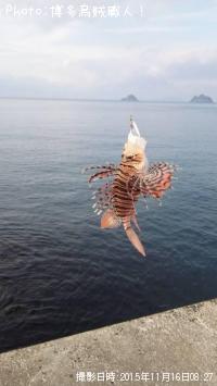 アジ