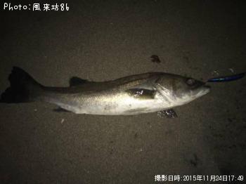 �����ե����Х�