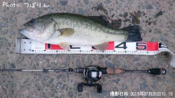 ブラックバス