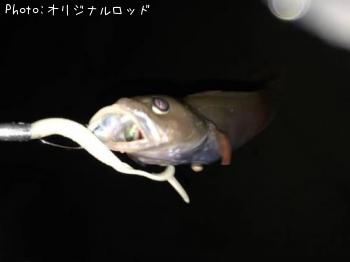 ɥ