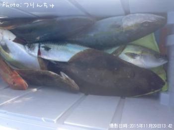 ヒラメとイナダとホウボウとサバ