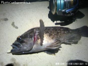 クロソイ