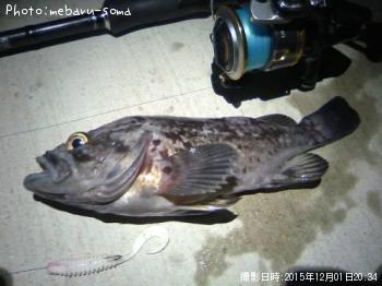 クロソイ