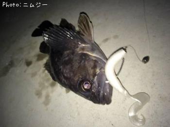 クロソイ