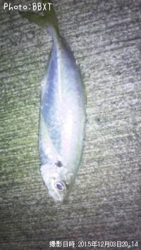 アジ