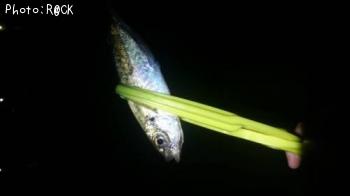 アジ