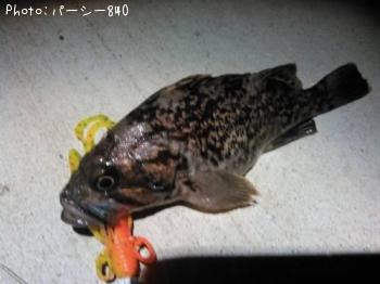 クロソイ
