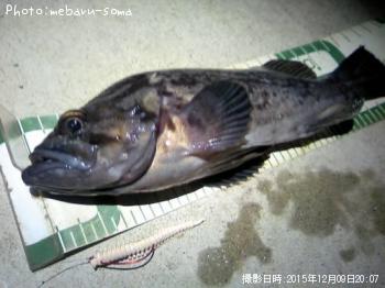 クロソイ