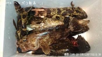 タケノコメバル