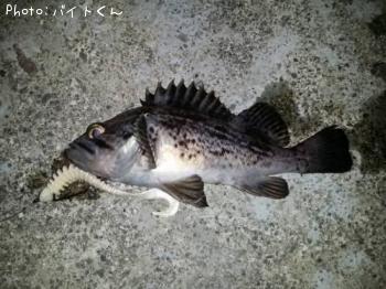 クロソイ