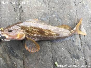 ʥ