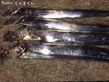タチウオ