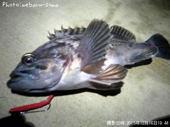 クロソイ