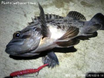 クロソイ