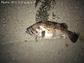 ソイ