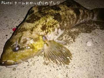 ʥ