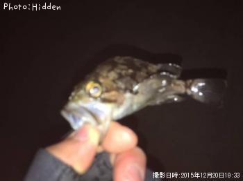 クロソイ
