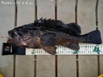 クロソイ