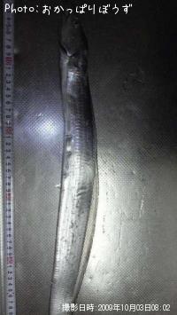 タチウオ
