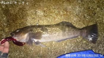 ʥ
