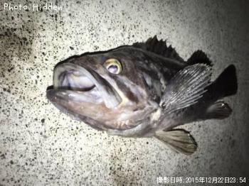 クロソイ