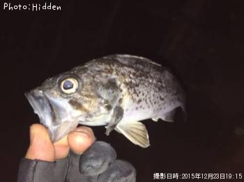 クロソイ