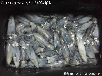 ヒイカ
