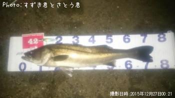 シーバス