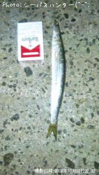 カマス