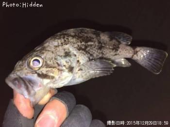 クロソイ