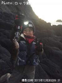 アイナメ