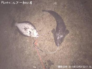 ҥᡡޥ