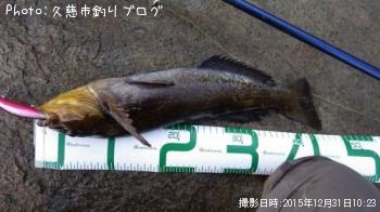 アイナメ