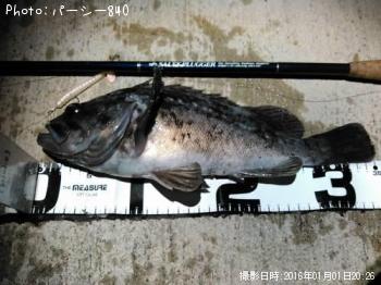 クロソイ