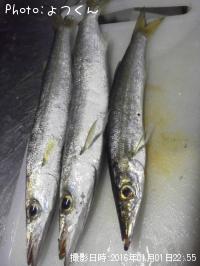 カマス