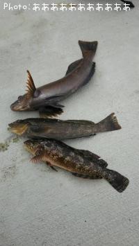 ʥ