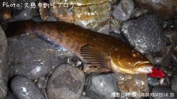 ʥ