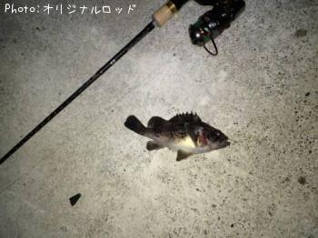 ソイ