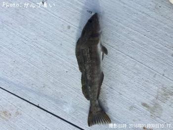 ʥ