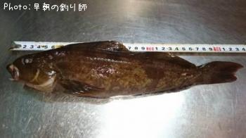 ʥ
